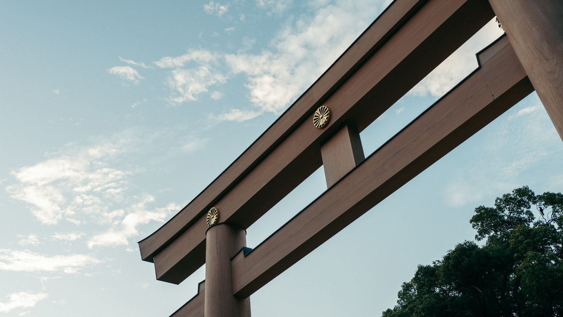 ９つの原則